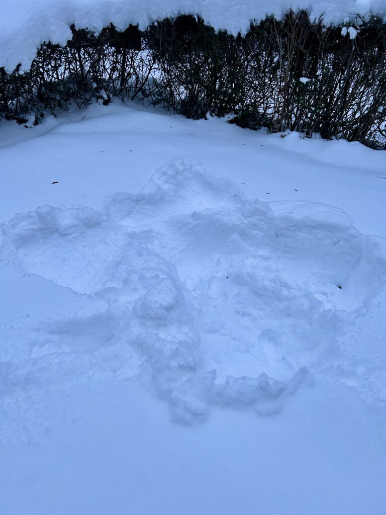 Schnee in der Drosselstraße