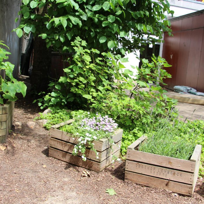 2017_Langenfelder_Damm_Garten_05