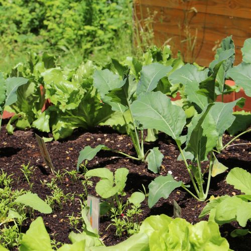 2017_Rappelkiste_Außengelaende_Hochbeete_01