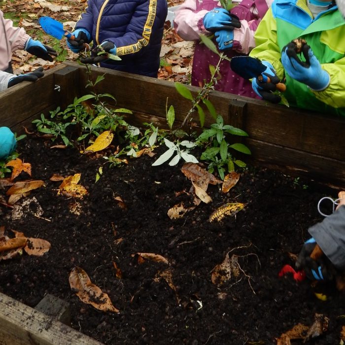 2024-10-29_Feldahornweg_Kartoffelernte