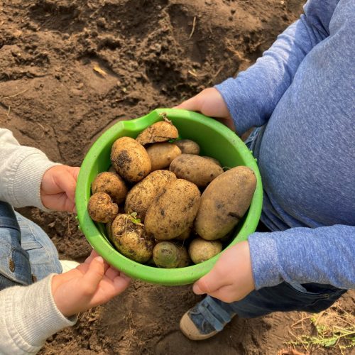 2024-10_Symbol_Kita Blankenese Ernährung_1561_small